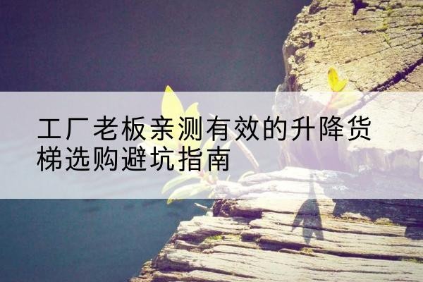 隆尧升降货梯怎么选-工厂老板亲测有效的升降货梯选购避坑指南