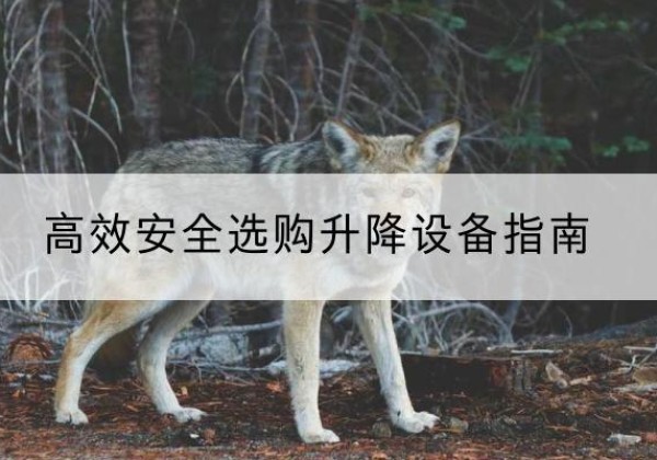 隆尧升降货梯厂家推荐-*安全选购升降设备指南