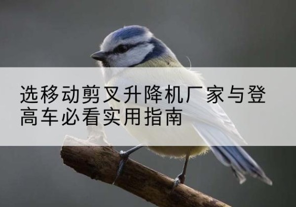 隆尧电动升降机厂家-选移动剪叉升降机厂家与登高车必看实用指南
