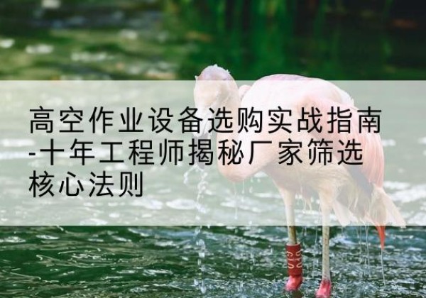 隆尧剪叉式升降机厂家-高空作业设备选购实战指南-十年工程师揭秘厂家筛选核心法则