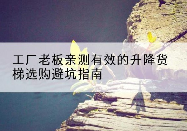 隆尧升降货梯怎么选-工厂老板亲测有效的升降货梯选购避坑指南